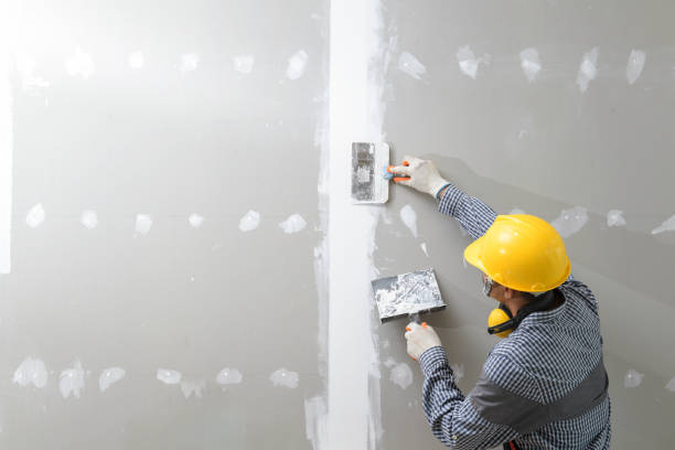 Best Biohazard Mold Removal  in Elkton, KY