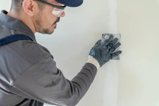 Best Crawl Space Mold Remediation  in Elkton, KY